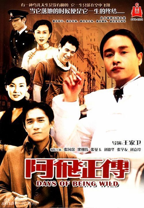 高仿计算机应用合格证多少钱